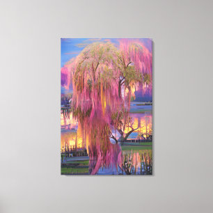 Pink Willow tree bei Sonnenuntergang am Teich Leinwanddruck