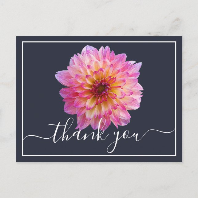 Pink Yellow Dahlia Navy Hintergrund Vielen Dank Postkarte (Vorderseite)