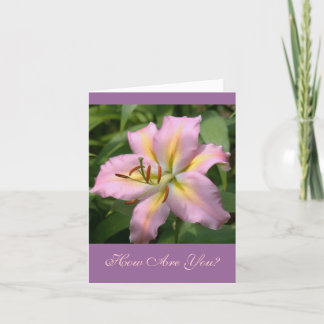 "PINK&YELLOW DAY LILY/WIE SIND SIE?" KARTE