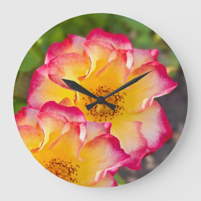 Pink Yellow Rose Große Wanduhr (Vorderseite)