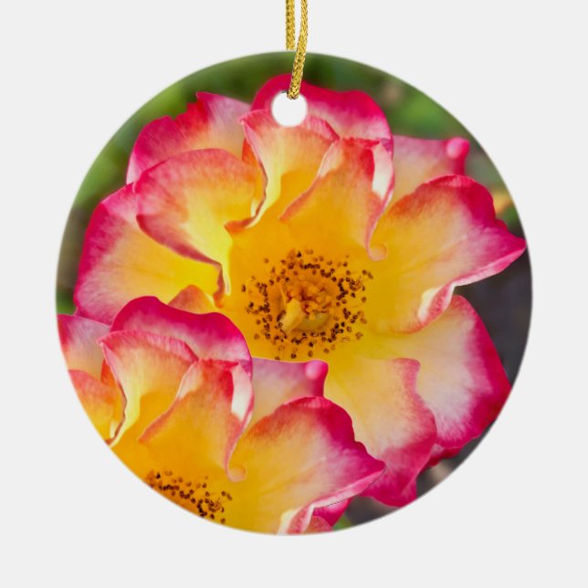 Pink Yellow Rose Keramik Ornament (Vorne)