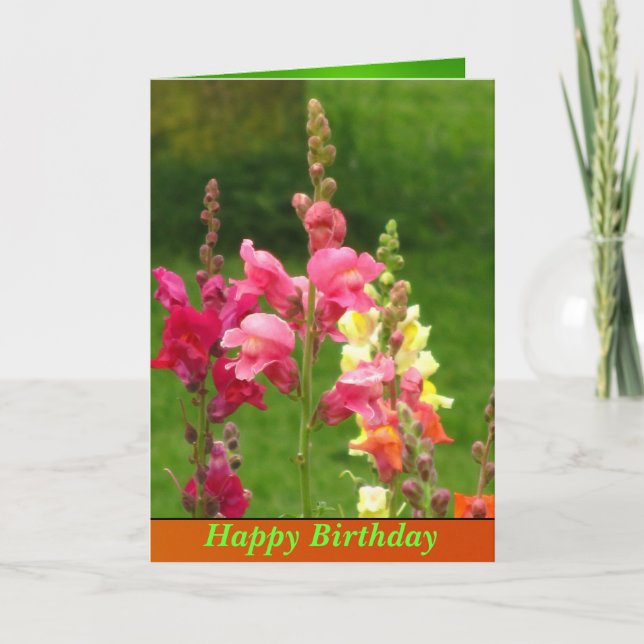 Pink Yellow Snapdragon Blume Happy Birthday Karte (Vorderseite)