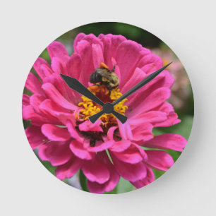 Pink Zinnia and Bumble bee Runde Wanduhr