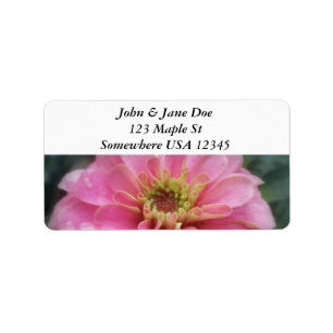 Pink-Zinnia-Blume Adressaufkleber
