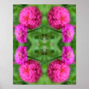 Pink Zinnia Blume Pair Abstrakt Poster
