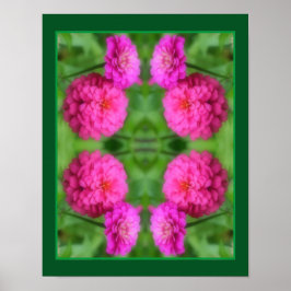Pink Zinnia Blume Pair Nah Abstrakt Poster