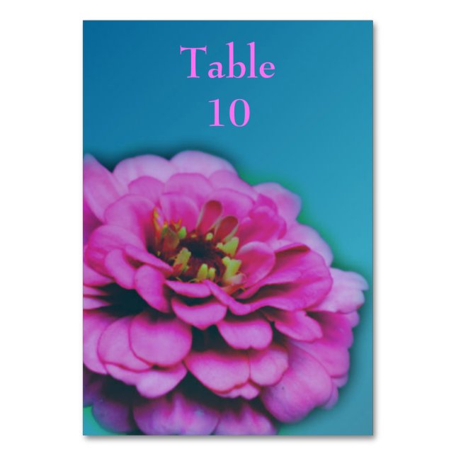 Pink Zinnia Blume Wedding Tischnummer (Vorderseite)