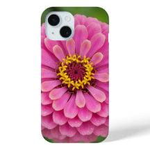 Pink zinnia - floral