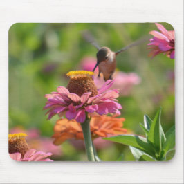 Pink Zinnia Flowers Hummingbird Photography Mousepad