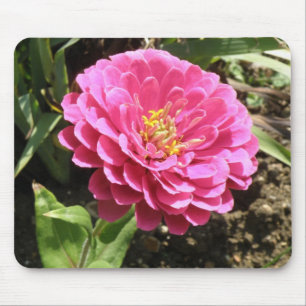 Pink Zinnia Mousepad