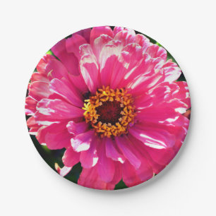 Pink Zinnia Pappteller