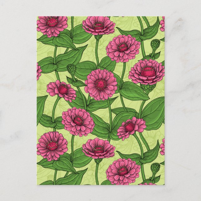 Pink Zinnias auf hellgrün Postkarte (Vorderseite)