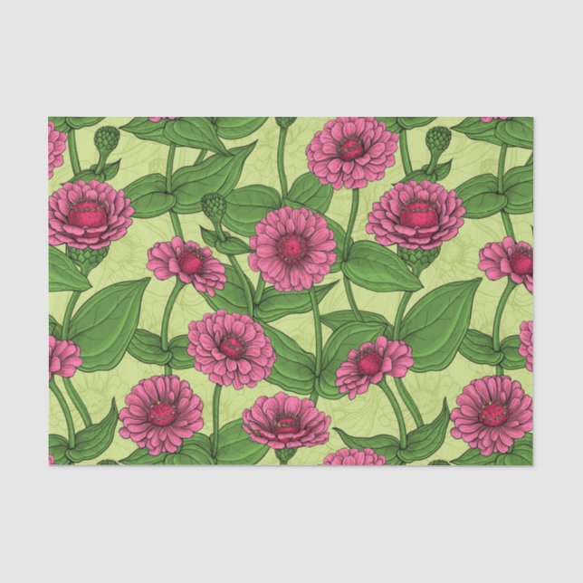 Pink Zinnias auf hellgrün Seidenpapier (Vorderseite)