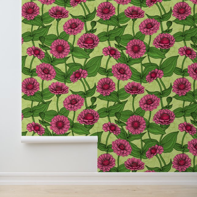 Pink Zinnias auf hellgrün Tapete (Anwendung)