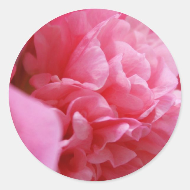 Pinkalicious Stickers (Vorderseite)