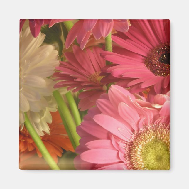 Pinke Blumen Magnet (Vorne)