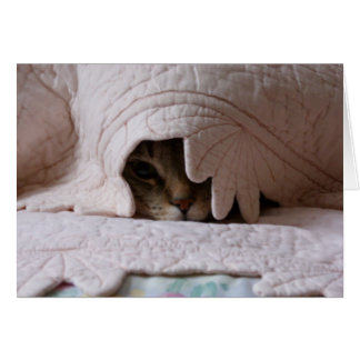 Pinkeln der Tom-Karte