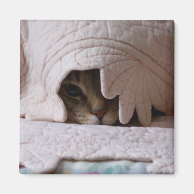 Pinkeln des Magneten von Tom Magnet (Vorne)