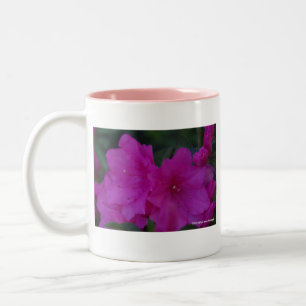 Pinkfarbene Azaleen-Tasse Zweifarbige Tasse