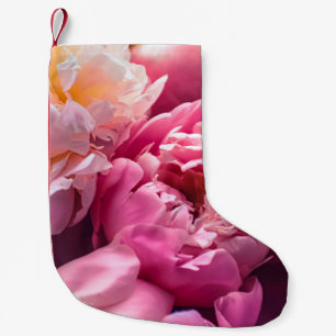 Pinkfarbene Blume als Blumenhintergrund, Botan Kleiner Weihnachtsstrumpf