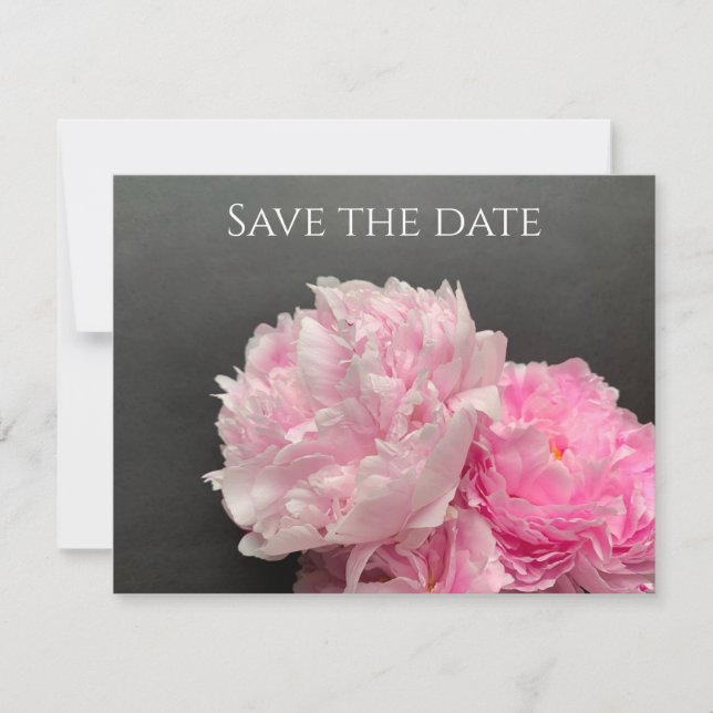 Pinkfarbene Ponys mit Textfläche Save The Date (Vorderseite)