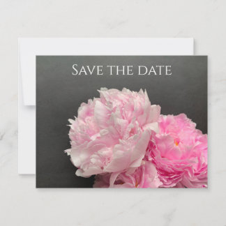 Pinkfarbene Ponys mit Textfläche Save The Date