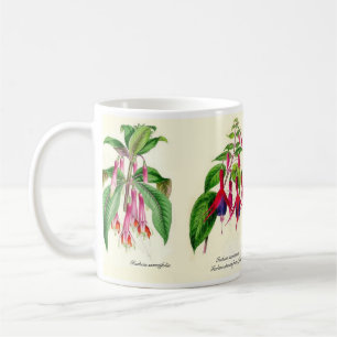 Pinkfarbene Spezies von Joseph Paxton Tasse
