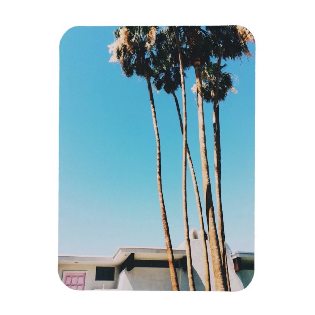 Pinkfarbene Tür der Palmsprings Magnet (Vertikal)