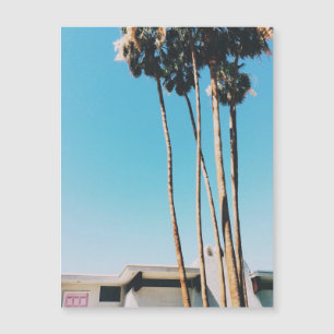 Pinkfarbene Tür des Palmsprings Magnet