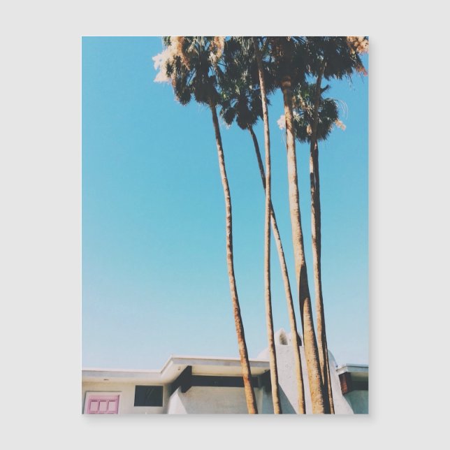 Pinkfarbene Tür des Palmsprings Magnet (Vorderseite)