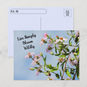 Pinkfarbene Wildblume über blaues Zitat verschiebe Postkarte