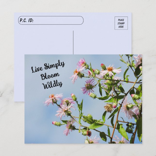 Pinkfarbene Wildblume über blaues Zitat verschiebe Postkarte (Vorne/Hinten)