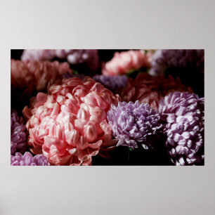 Pinkfarbener Bouquet mit lila aster Blume im Licht Poster