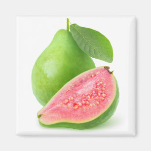 Pinkfarbener Guava Magnet