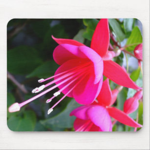 Pinkfarbenes Mousepad