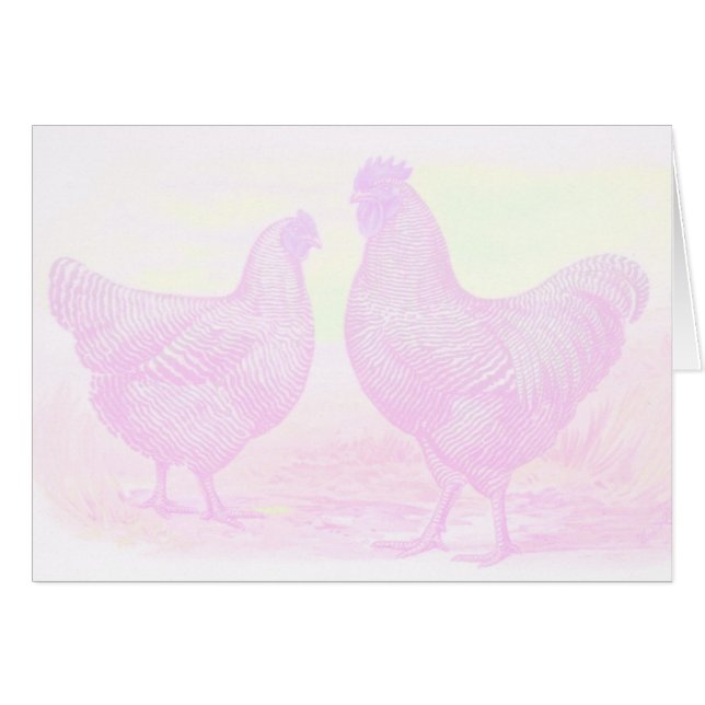 PinkFoam (Vorderseite (Horizontal))