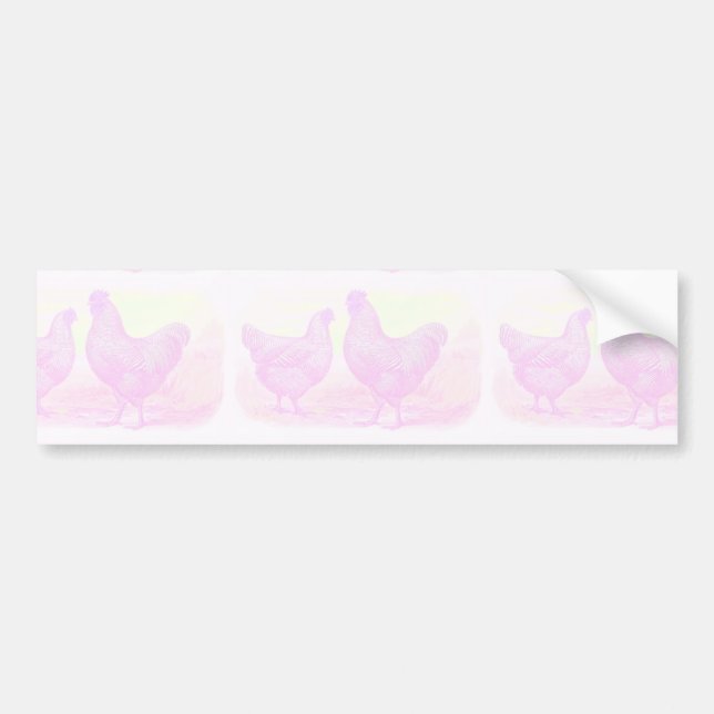 PinkFoam Autoaufkleber (Vorne)