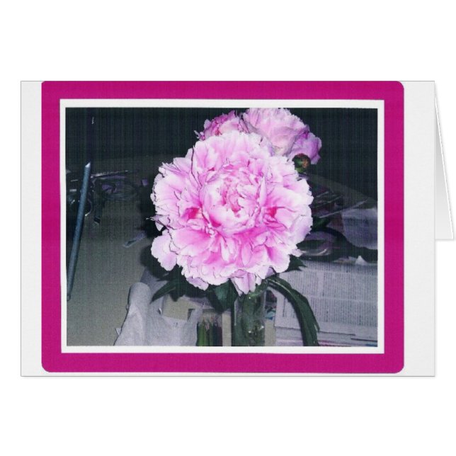 PINKISH PFINGSTROSE (Vorderseite (Horizontal))