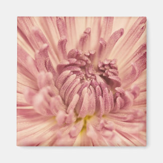 PinkPetals1_12x18etsy Magnet