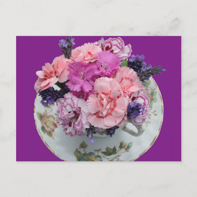 Pinks Nelken im Teacup Postkarte (Vorderseite)