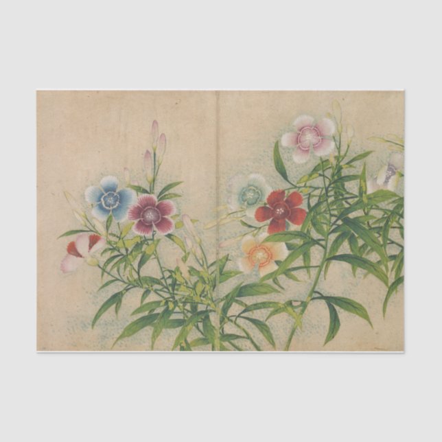 Pinks von Zhang Ruoai Seidenpapier (Vorderseite)