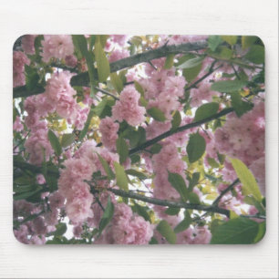 pinkspringtrees 001 mousepad