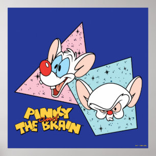 Pinky and the Brain   Retro Character Graphics Poster