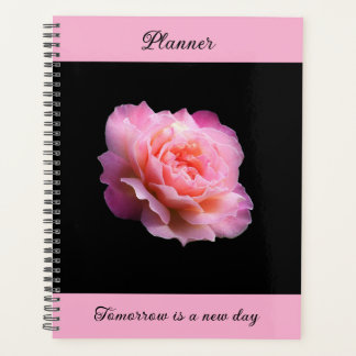 Pinky Rose - Planer