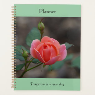 Pinky Rosebud Planer