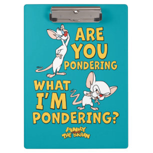 Pinky und das Gehirn   Machst du darüber nach? Klemmbrett