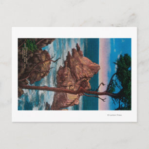 Pinnacle Point, Point Lobas Staat Park Postkarte