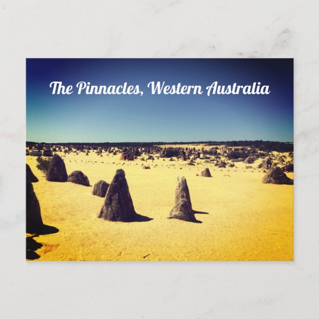Pinnacles, Western Australien Postkarte (Vorderseite)