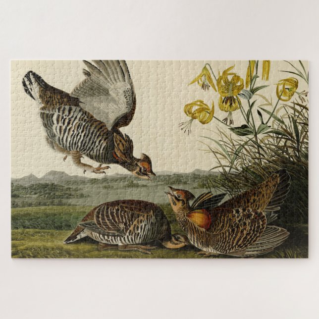Pinnated Grouse Puzzle (Horizontal)