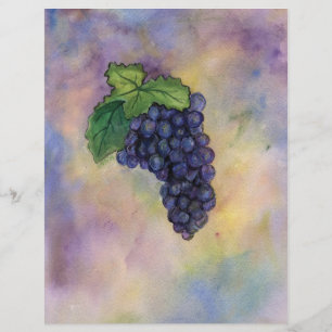 Pinot Noir Weintrauben